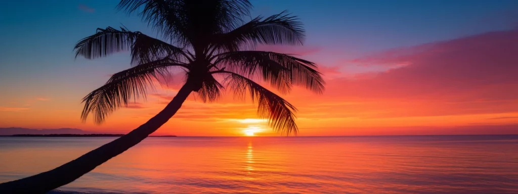 a colorful sunset over a calm ocean with a silhouetted palm tree.